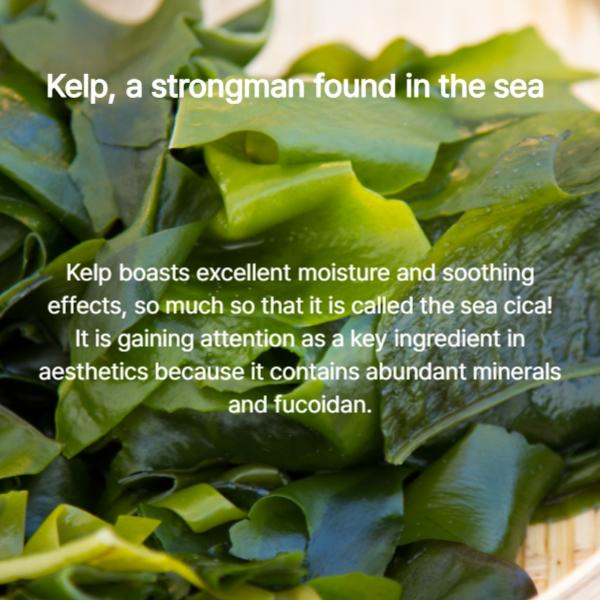 Biodance Erfrischende Seetang-Real-Deep-Maske (4 Blatt) (3 Optionen)