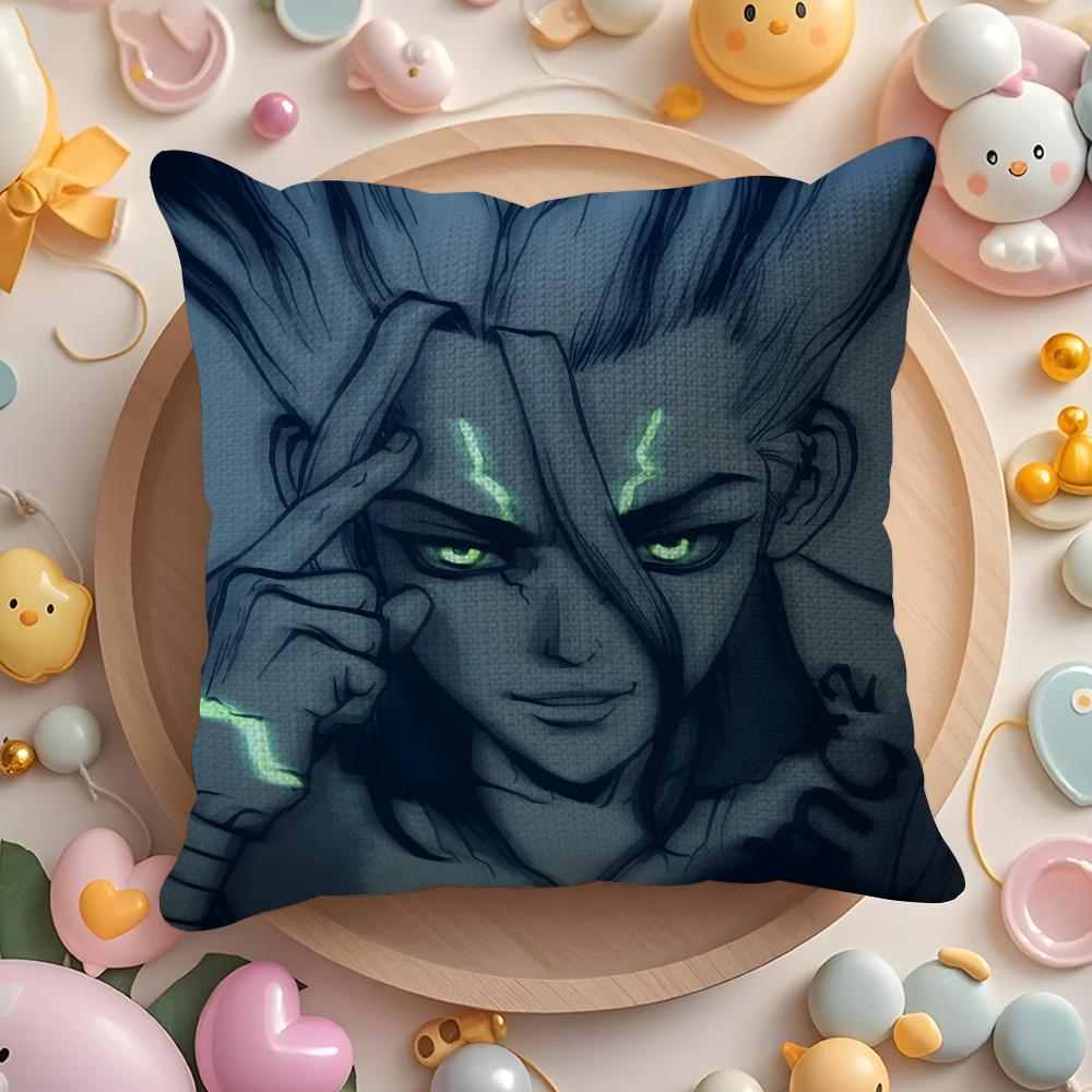 Dr S-Stone-E Pillow Case Pattern Printed Pillowcase for Living Room Sofa Cushion Cover & Bedroom Decor
