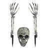 Halloween Skeleton Stake Decorations Creepy Skull Hand Arm with Stakes Realistic Skeleton Bone Model for Outdoor Yard Garden Lawn Decor