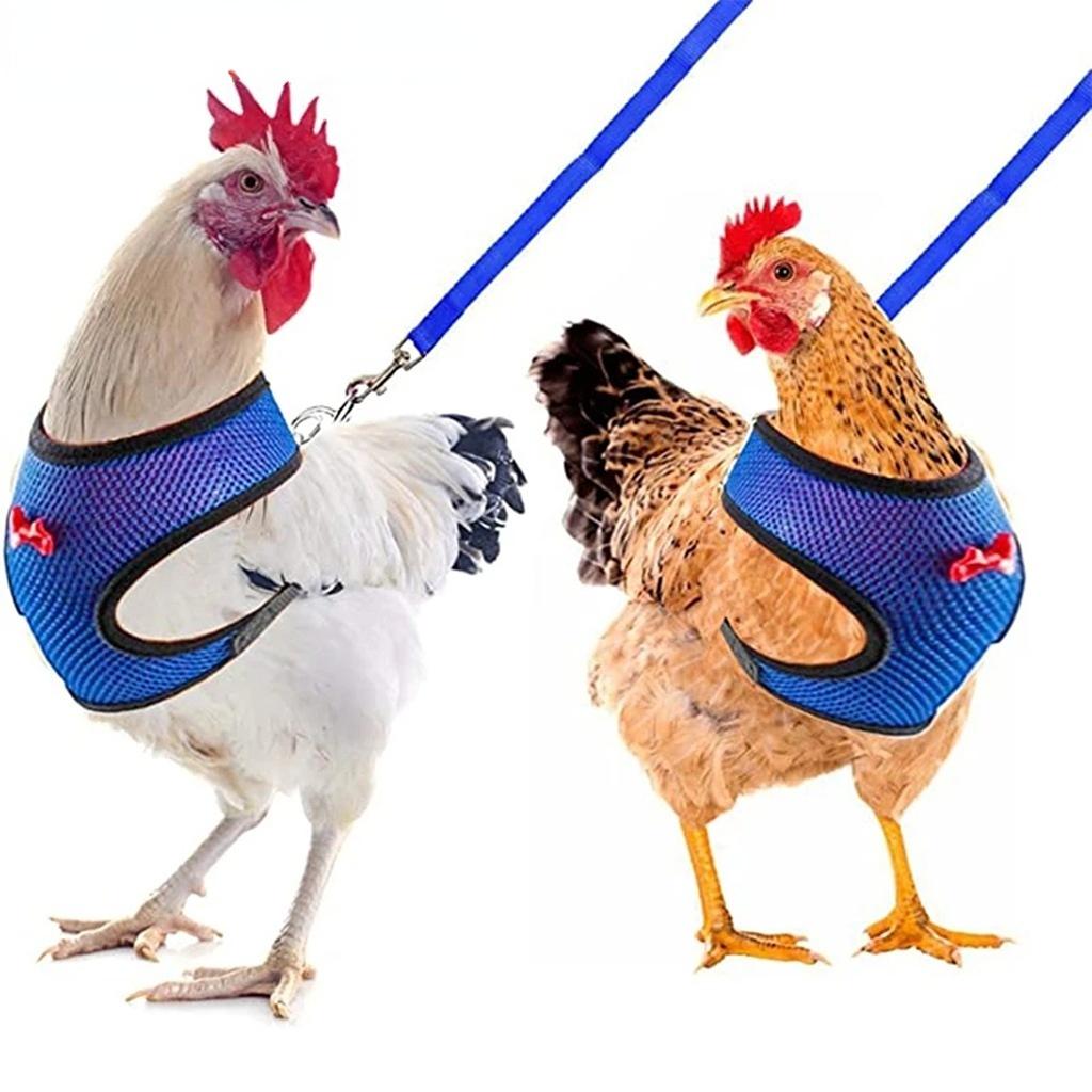 New Ive Their Food a Boost with This Luxurious, Cozy, and Fashionable Poultry Clothing Line Designed To Make a Statement, While