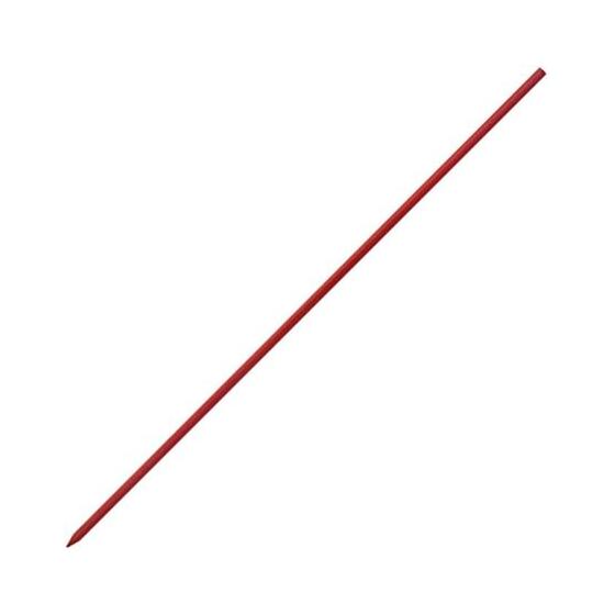 Staedtler Mars Lead Holder Refills, Red, 4 Pieces, 204-E4-2 (x2), 2mm Colored Lead, Plastic Lead, Alternative to Red Pencils, Smudge-proof,