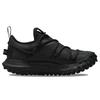 Nike ACG Mountain Fly Low GTX SE Dark Smoke Grey Unisex Sneakers Black Iron-Grey DD2861-002