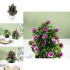 Hibiscus Flower Simulation 25pcs Round Small Potted Plants For Coffee Table Decoration And Photography