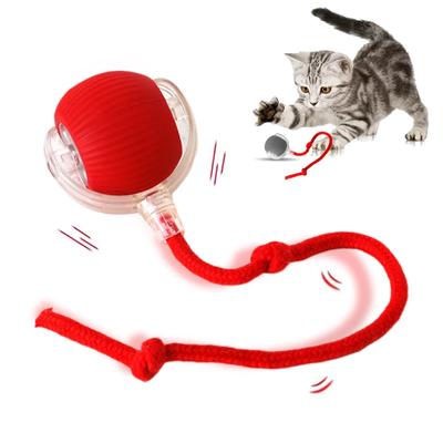 Gatti – Giocattoli per gatti