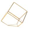 Gold Geometrische Form Sukkulenten Pflanze Blumentopf Glas Pflanzgefäß Landschaft Heim Tischdekoration