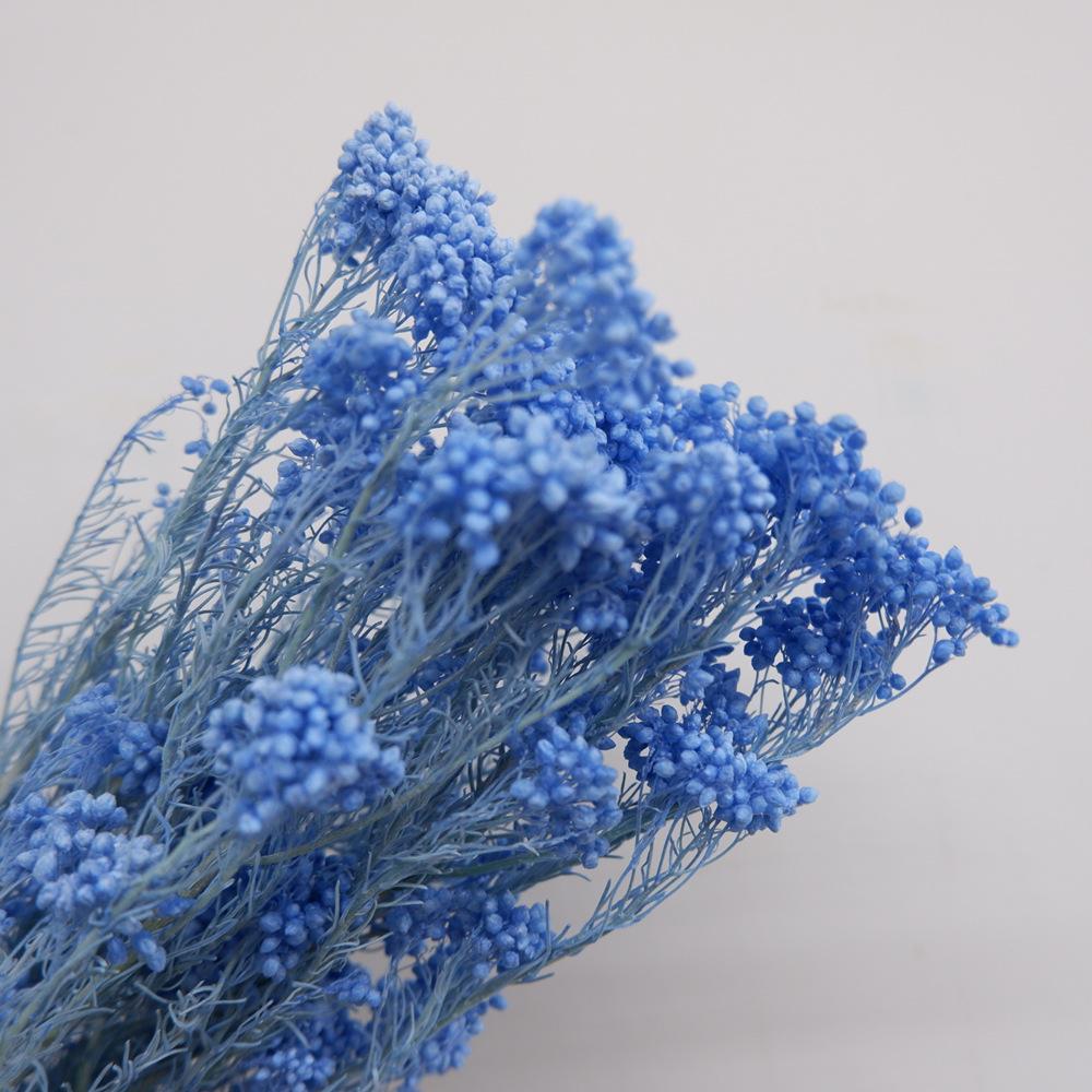 Eternal Flower Bleaching Millet Flower, Preserving Flowers, Rice Flower Eternal Flower Dried Flower Rice Grass Home Decoration Bouquet Accessories