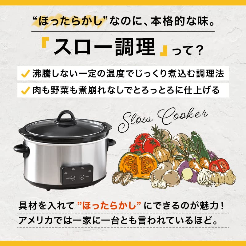 THANKO Master Slow Cooker Pot VASLCKSBK: Authentic Stews with Just One Button