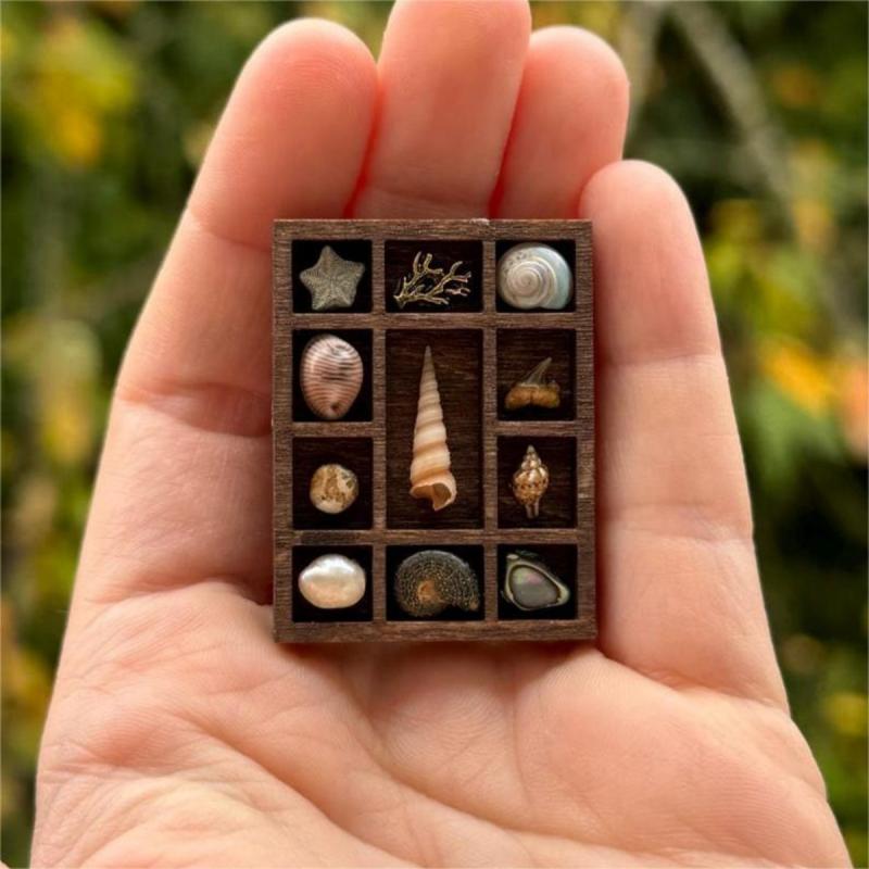 Miniature Trinket Shelf  Shelf Dollhouse Miniature Decor Multi Compartments Wooden Jewelry Display Tray Ring Storage
