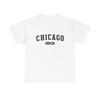 Chicago Illinois Graphic T Shirt ADULT NEW