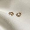 SINBI 14k Gold Shine Earring