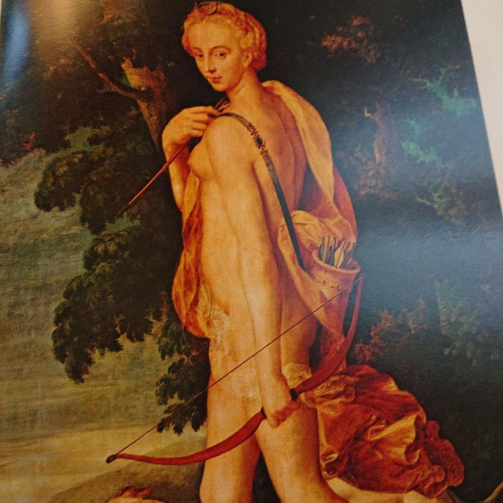 [USED] Renaissance Art: Northern Renaissance Large-scale Art Collection