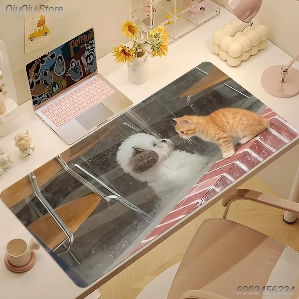 Funny Rock Meme Cat Mouse Pad Black Large Desk Mat for Gamers Cat Lovers