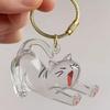 Scatola porta peli cane/gatto a forma di gatto cartone animato Trasparente Cura del pelo Portachiavi peli animali Domestici Portachiavi fatti a mano fai da te Ciondoli Zaino