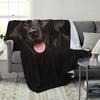 1pc Soft Flannel Black Cat & Dog Blanket – Cozy, All-Season, Fit Sofa/Bed/Office/Shawl/Leg Warmer/Camping, Gift for Pet Lovers