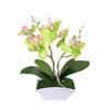 Fake Phalaenopsis Flower Bonsai Lifelike Unique Portable Real Touch Flower for Party