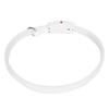 Collare per cani a LED Ricaricabile USB Colore della luce dinamico Regolabile Anello da collo per animali domestici Impermeabile