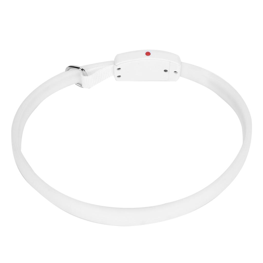 Collare per cani a LED Ricaricabile USB Colore della luce dinamico Regolabile Anello da collo per animali domestici Impermeabile