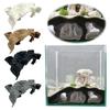 Natürliche Tunnel-Wels-Höhle 3D Höhle Aquarium Zubehör für Garnelen Buntbarsch Versteck Zucht Kleinfische