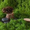 Polyester Artificial Moss Plants DIY Craft Realistic Texture Preserved Reindeer Moss No Watering Year-round Green