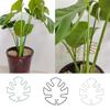 3pcs Adjustable Metal Plant Stem Support Durable Monstra Flower Climbing Stem Holder For Plants Garden Trellis