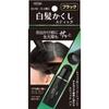 To Plan Tokyo Planning And Sales To Plan Gray Hair Concealer Stick Black 4g