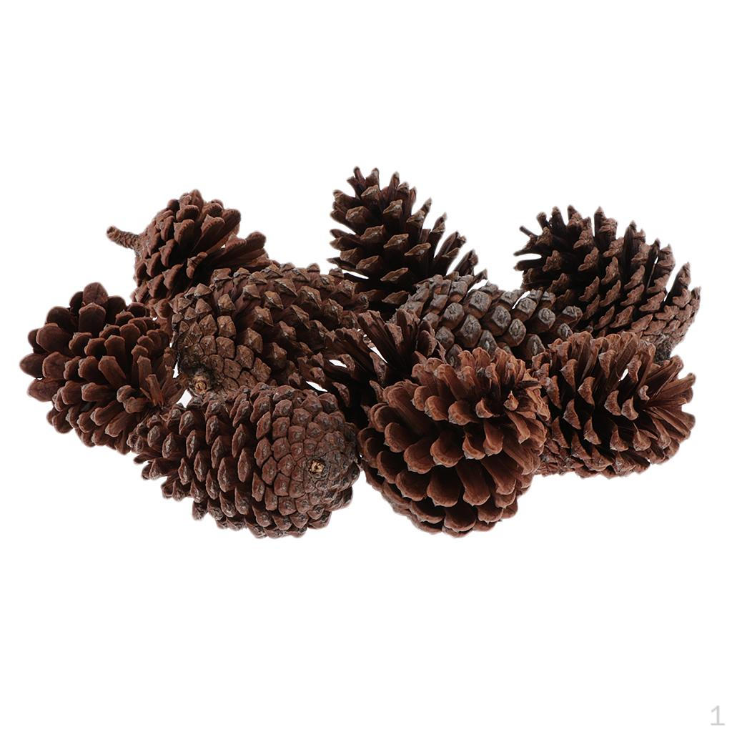 10 Больших в качестве Декоративных Элементов A 6-8CM