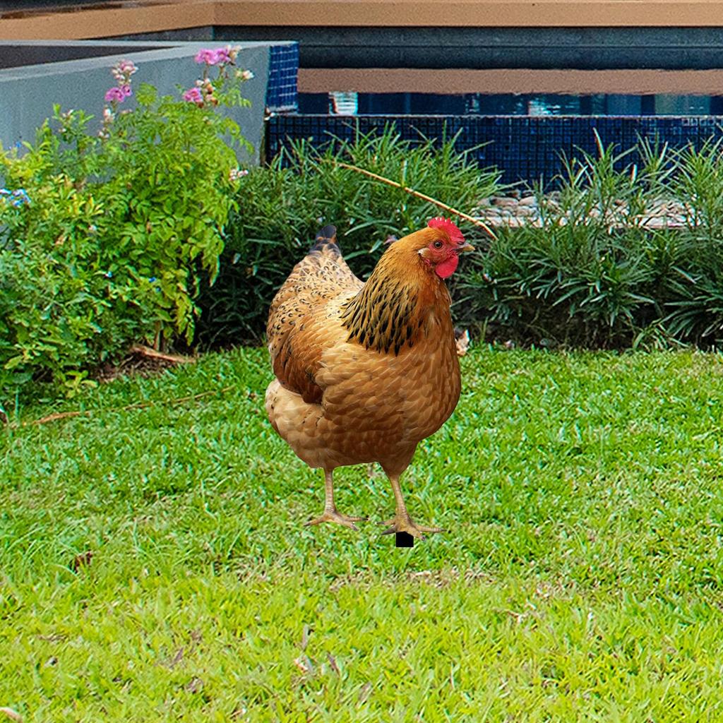 Elegante Henne-Gartenskulptur aus Metall für die Außendekoration