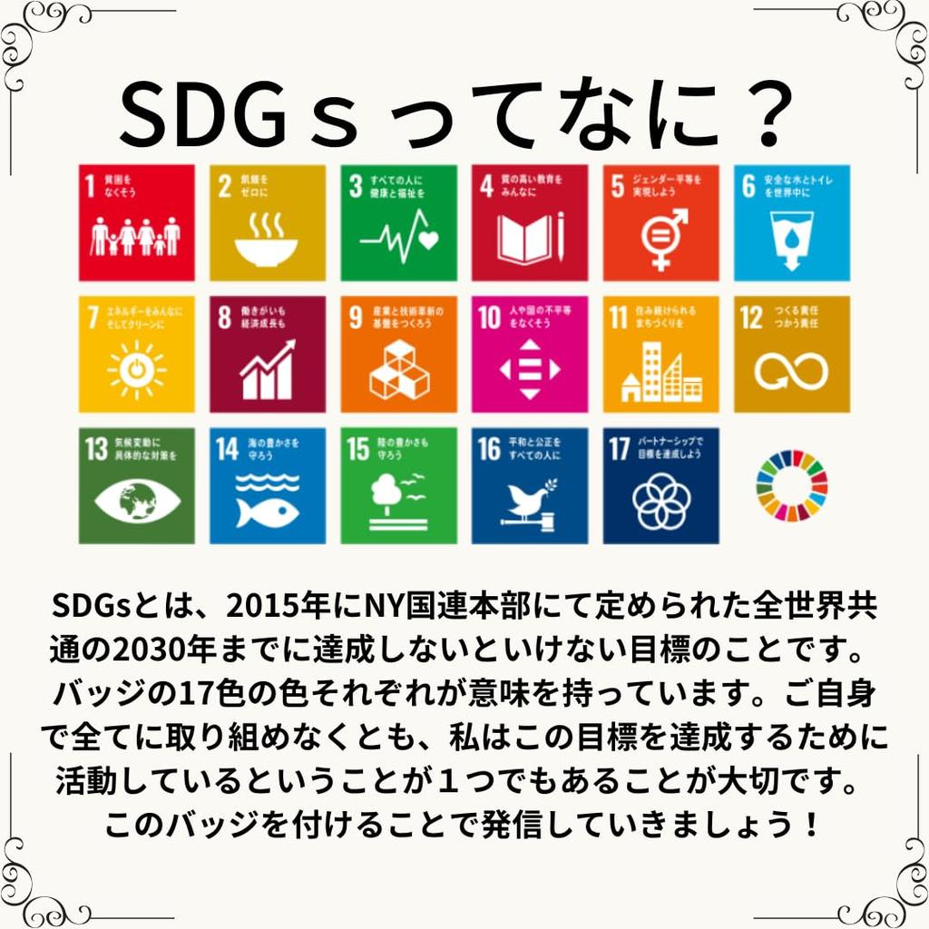 Nations Official Latest System SDGs Badge 25mm Gold Cloisonne SDGs Badge Pin Badge SDGs Perfect for Hats and Bags Cute [United Specification/Invoice
