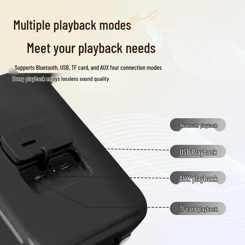 Divoom SongBird-SE Altoparlante Bluetooth Karaoke da Casa e Set Microfono Spina CN (adattatore incluso) (Versione NC)