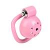 Male Penis Chastity Cage Set Small Bird Chastity Cage Belt With 5 Size Padlock Cock Ring Penis Lock Bondage Man Sex Toy
