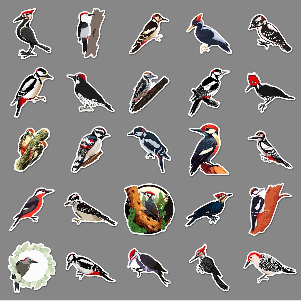 50 Pcs Woodpecker Stickers - Cartoon Forest Animals, Waterproof DIY Decoration for Phone, Laptop, and Journal