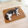 Tappetino double-face per tutte le stagioni Tappetino estivo antigraffio per gatti Tappetino per dormire Non appiccica i peli Nido per cani e nido per gatti in estate