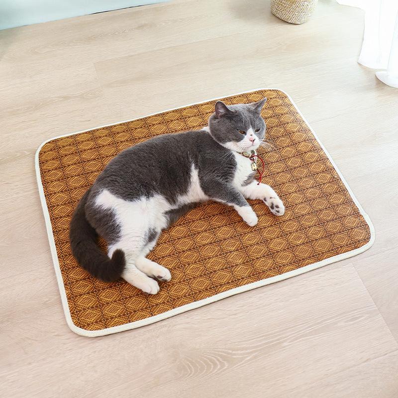 Tappetino double-face per tutte le stagioni Tappetino estivo antigraffio per gatti Tappetino per dormire Non appiccica i peli Nido per cani e nido per gatti in estate