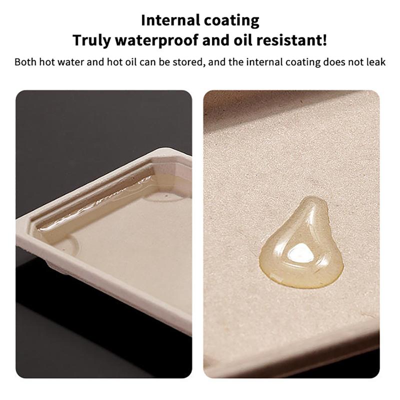 Disposable Sushi Box Home Takeaway Packaging Box Environmentally Friendly And Biodegradable Rectangular Sushi Plate Meal Box