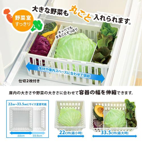 Richell Totono Extendable Vegetable and Freezer Storage, Deep, Regular Size, Space-Efficient, Adjustable To Fit (100915)