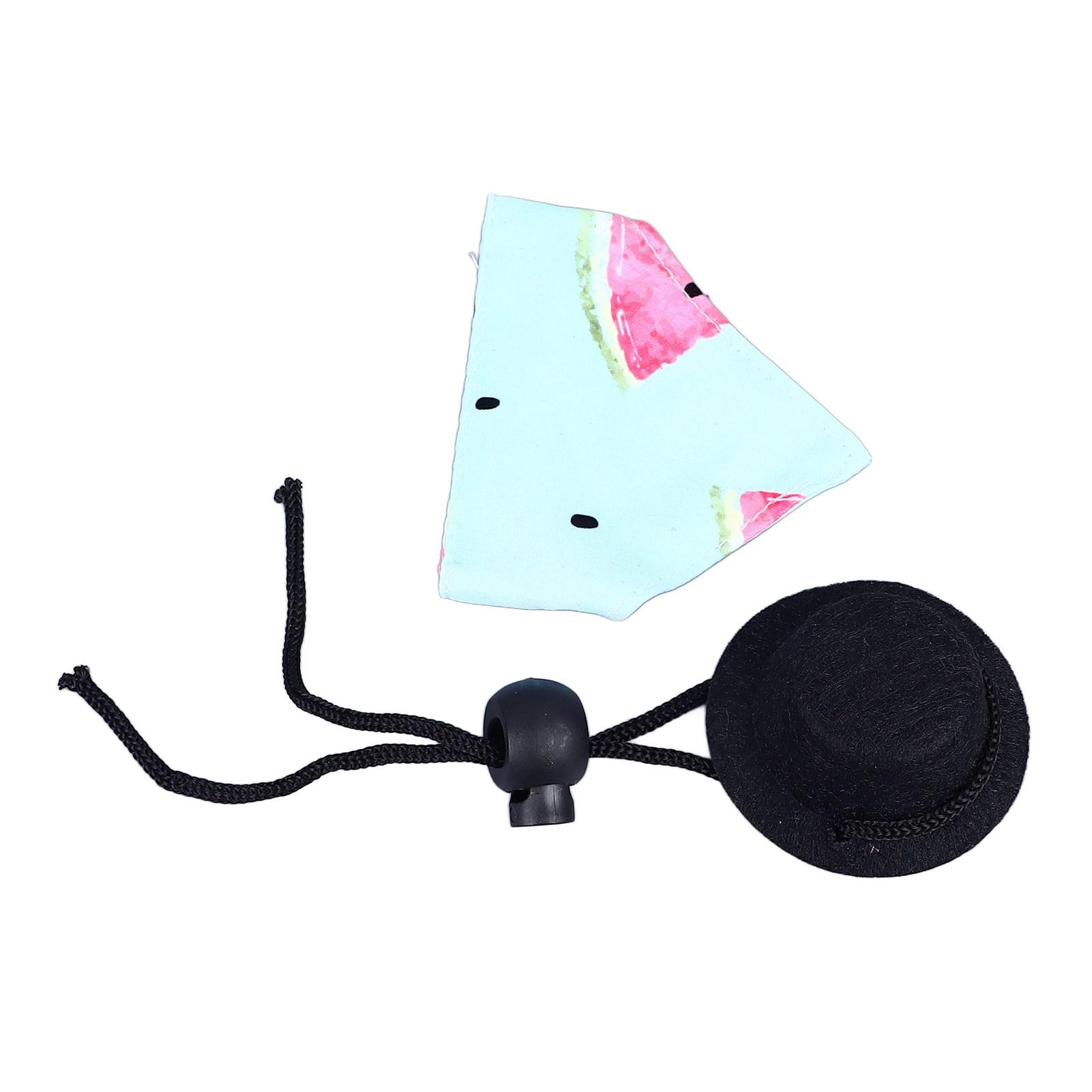 

Комплект банданы с бородатым драконом, удобный, изысканный костюм ящерицы на Хэллоуин, маленькое животное, рептилия C Blue Watermelon