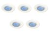Set of 5 Blue Watercolor Double Ring Plates 24cm Round Plate Setomonohonpo [24.5×3.5cm] (Medium)