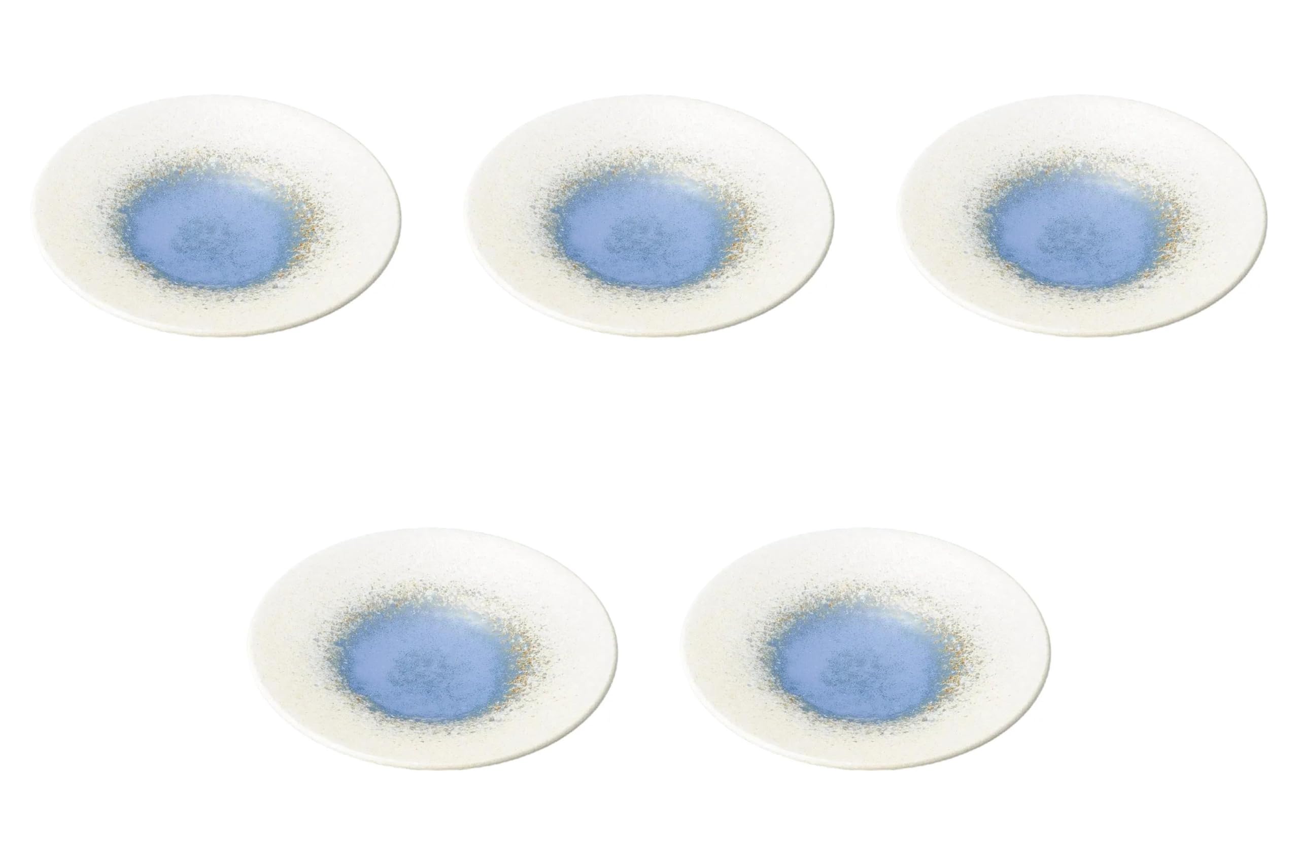 

Set of 5 Blue Watercolor Double Ring Plates 24cm Round Plate Setomonohonpo [24.5×3.5cm] (Medium)