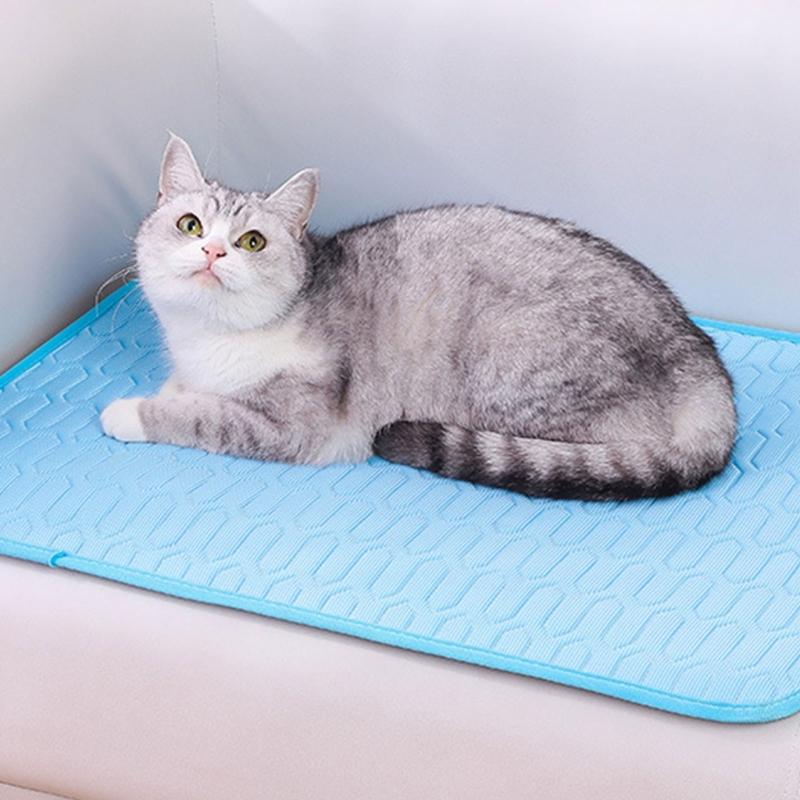Latex Backed Dog Pad with Warm Season Comfort, Soft Indoor Layer Finish, Stable 55 x 70 cm Summer Size for Homes