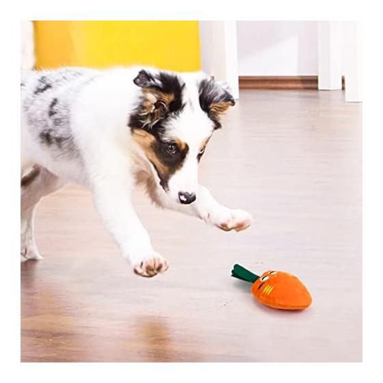 Set of 10 Dog Toys, Dog Chewing Toys, Sounds, Stuffed Toys, Cute, Relieve Lack of Exercise, Relieve Stress, Funny, Beautiful, Safe, Durable, Dogs,