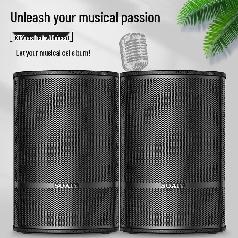 Soaiy CK-M38 Professional Audio System CN Plug (adapter Included)