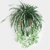 65cm Artificial Flowers Plants Wall Hanging Chlorophytum Potted Green Plant Fake Simulation Flower