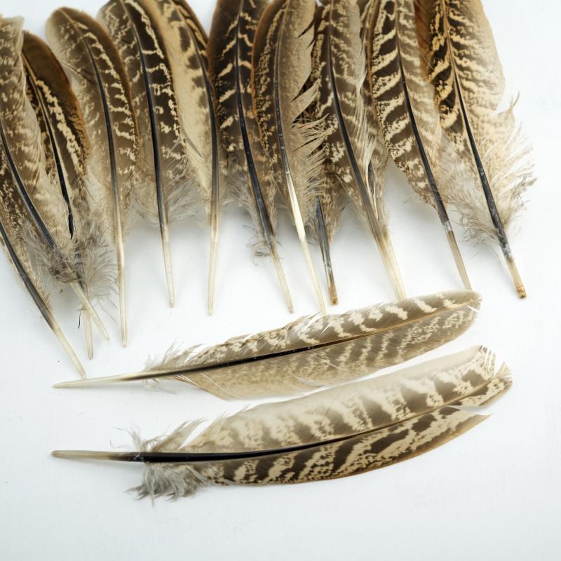 15-18cm Natural Pheasant Feathers for DIY Crafts Premium Handmade Costume Accessories Fly Tying & Wedding Decor Supplies Bulk