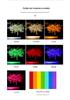 Seven-Color RGB LED Waterproof Floodlight for Landscape and Courtyard Lighting