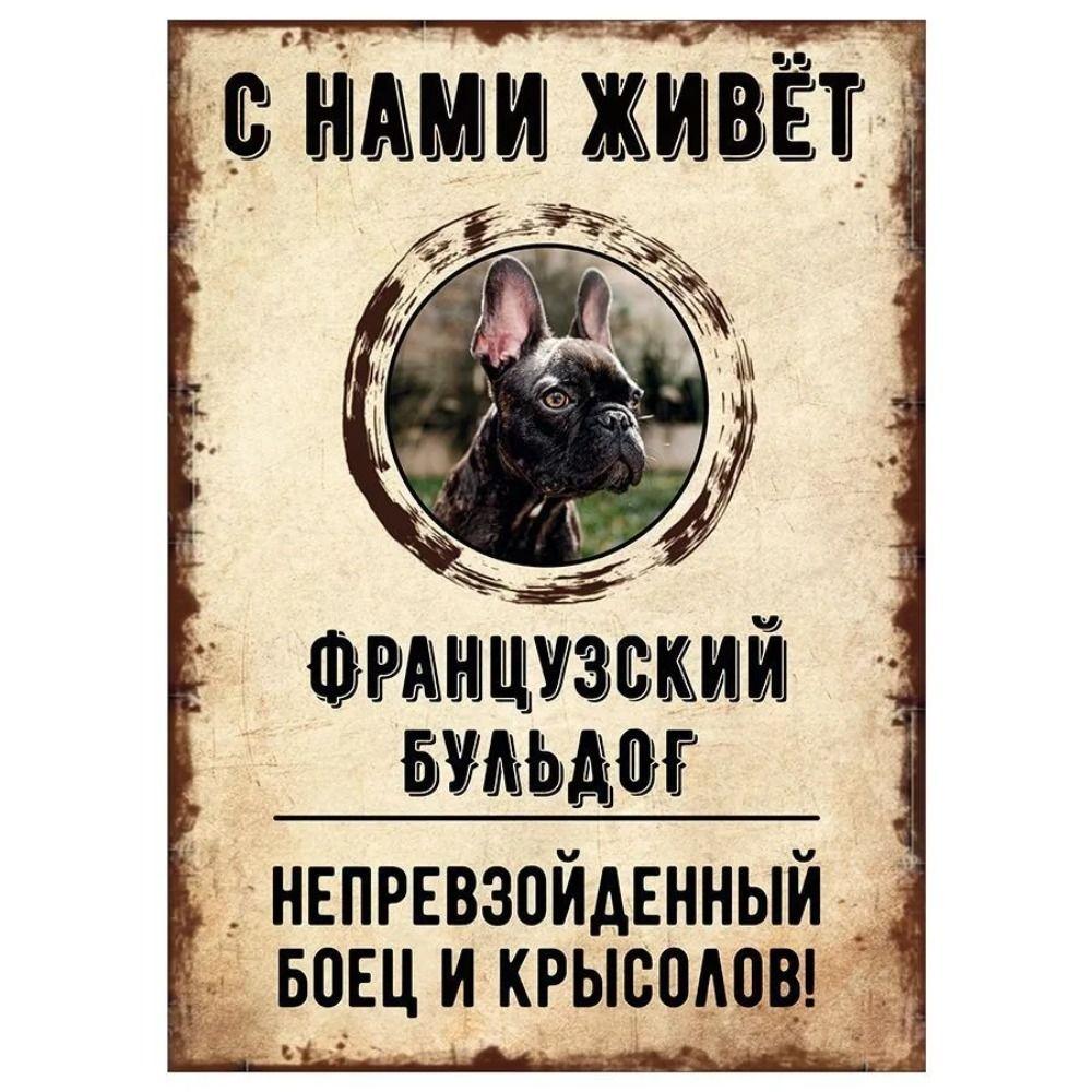 Schild, dekorativ, GEFAHR HUND, Schnauzer lebt bei uns, 20x30cm