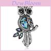 Natuurlijke Schelp Uil Broche Speld Met Multifunctioneel Ontwerp Voor Mode Vrouwen