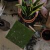 Artificial Moss Mat 30 Cm Faux Grass Rug Easy Maintenance No Watering Indoor Outdoor Decor Wedding Banquet Backyard Balcony