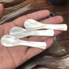 Seashells Natural Conch Caviar Spoons Coffee Scoop Stirring Tool Teaspoon