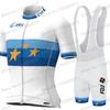 Europos FDJ Komanda Dviračių Džersio Rinkinys Trumpomis Rankovėmis Drabužiai Plento Dviratininko Marškiniai Kostiumas Dviračių Šortai su Petnešėlėmis MTB Drabužiai Džersis
