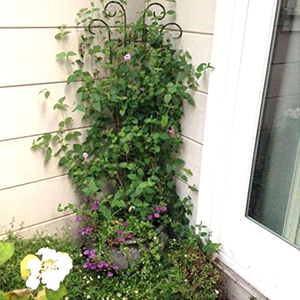 For Flower Pot Plant Fixed Stake Flower Leaves Support Stick Climber Pole Plant Climbing Frame